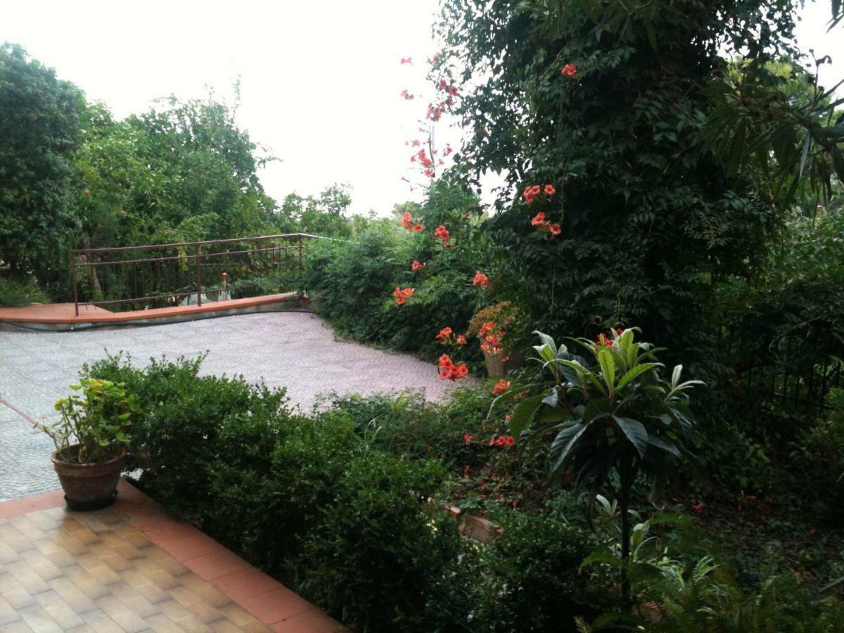 Green Villa Sand Beach Center Close Sea Veiw Cefalú Exterior foto