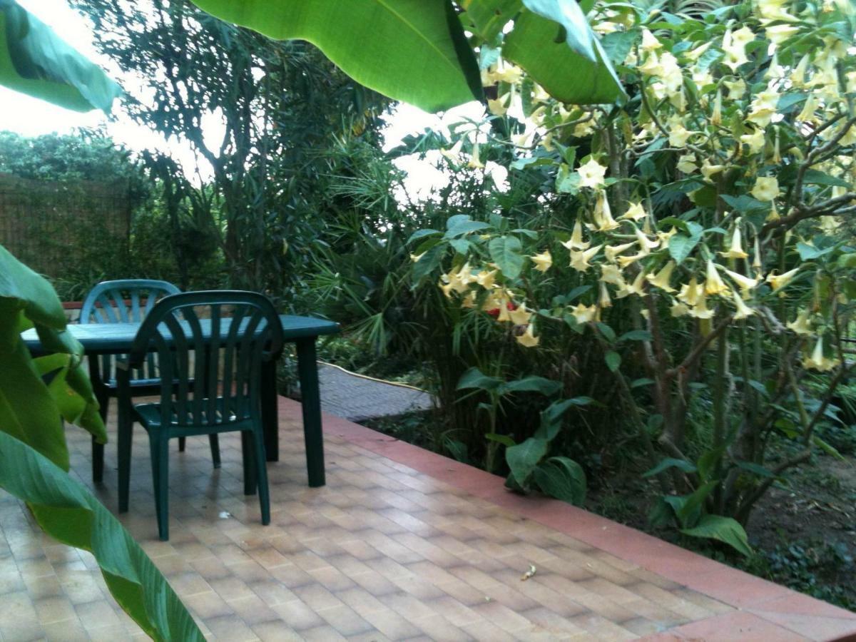 Green Villa Sand Beach Center Close Sea Veiw Cefalú Exterior foto