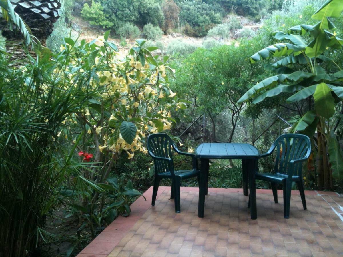 Green Villa Sand Beach Center Close Sea Veiw Cefalú Exterior foto
