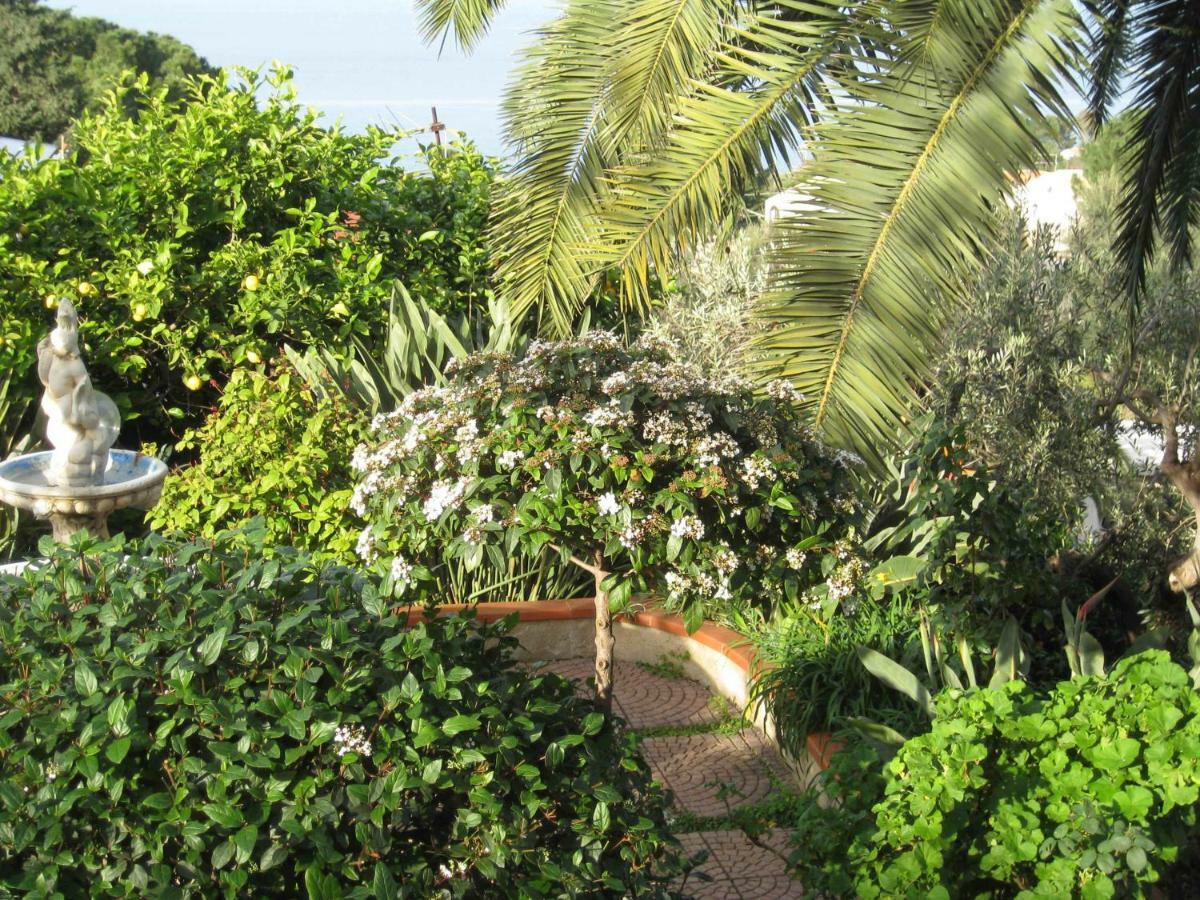 Green Villa Sand Beach Center Close Sea Veiw Cefalú Exterior foto